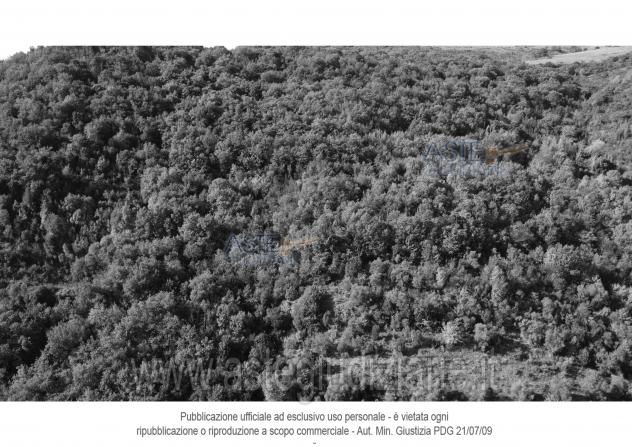 IMMOBILI-ALTRA CATEGORIA-MARSCIANO - Foto 2
