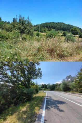 Immobile in asta di 10550 m² in vendita a Pietrabbondante - Foto 11