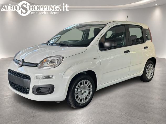 FIAT Pandina Panda III 1.0 firefly hybrid Icon s&s 65cv 5p.ti