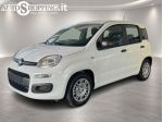 FIAT Pandina Panda III 1.0 firefly hybrid Icon s&s 65cv 5p.ti