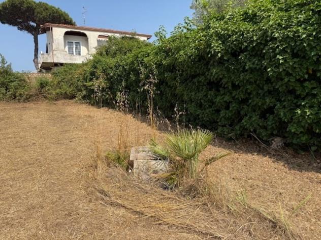 Terreno edificabile in vendita a Nettuno - Foto 6