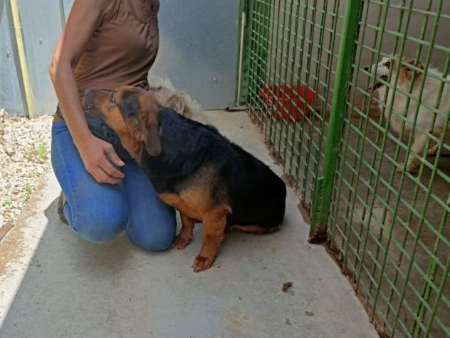 Lolo piccoletto carino e coccolone - Foto 3