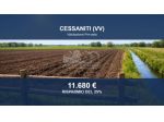 Immobile in asta di 7030 m² in vendita a Cessaniti