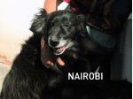 Nairobi buona e dolce