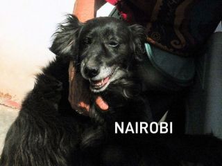 Nairobi buona e dolce