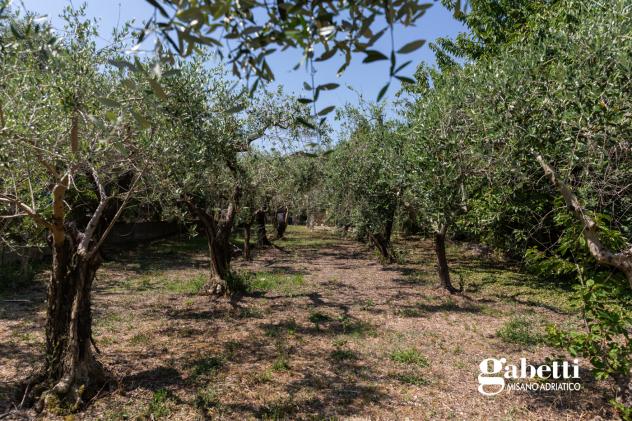 Terratetto - San Giovanni in Marignano . Rif.: MV017VRG - Foto 15