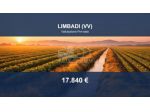 Immobile in asta di 14510 m² in vendita a Limbadi