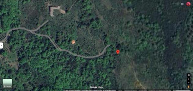 Immobile in asta di 183767 m² in vendita a Roccagloriosa