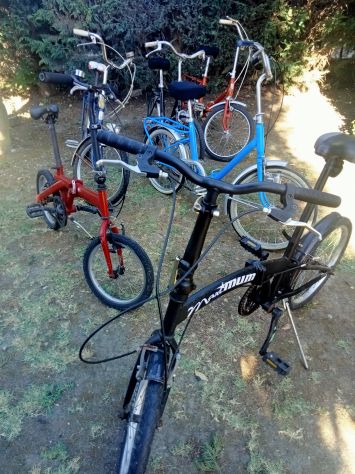 Bici pieghevole Grazielle misura 20 - Foto 3