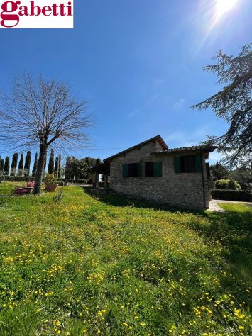 Rif. S2678 - Gaiole in Chianti – San Sano - Indipendente in pietra giardino - Foto 3