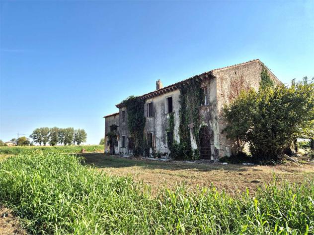 V005517 - NOGAROLE ROCCA – RUSTICO CON 3.100 MQ DI TERRENO PRIVATO - Foto 7