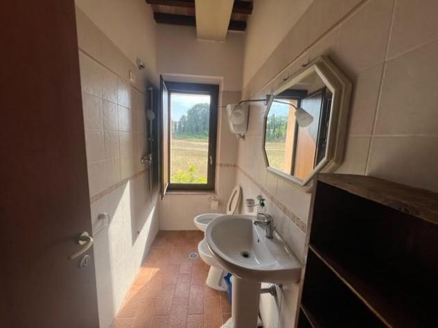 Appartamento in vendita a Rapolano Terme 45 mq Rif: 1440111 - Foto 5