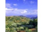 Villa Anthea