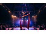 danza acrobatica sospesa Spettacolo di arte del circo su tessuti aerei