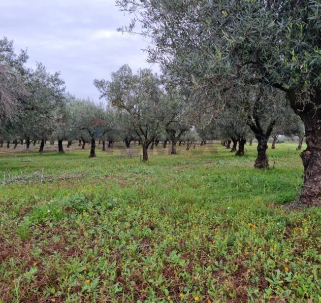 Terreno in vendita a Vittoria - Foto 6