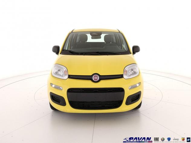FIAT Pandina 1.0 FireFly 65 CV Hybrid Pop - Foto 2