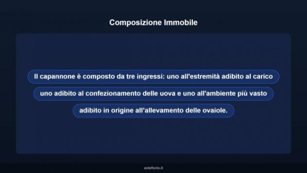 Immobile in asta di 1200 m² in vendita a Filogaso - Foto 7