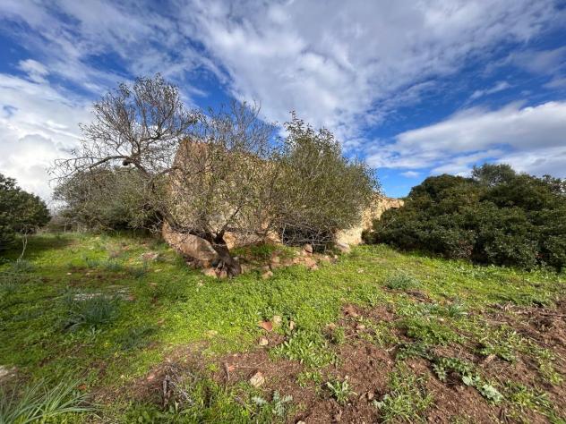 Colonica in vendita a Surrau - Arzachena 130 mq Rif: 1353088 - Foto 6