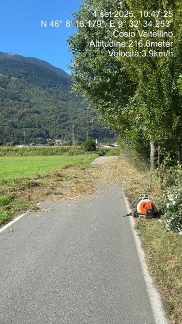 Cerco lavoro pulizia uliveti giardinaggio