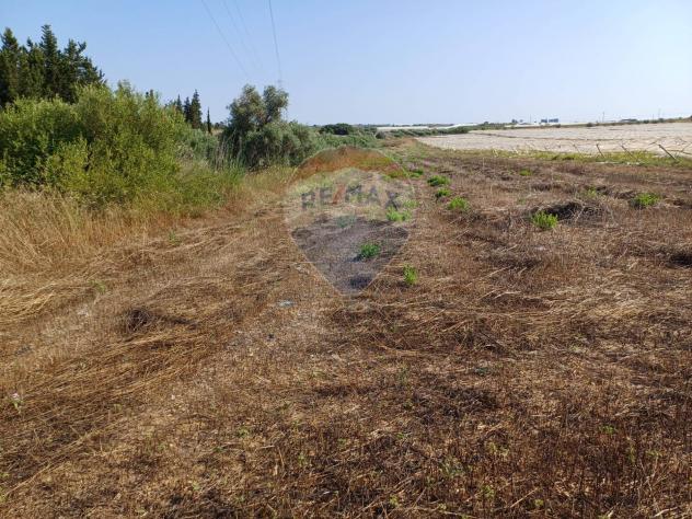 Terreno in vendita a Noto - Foto 5
