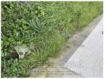 IMMOBILI-IMMOBILE RESIDENZIALE-Via delle corti, 35, 51013 chiesina uzzanese &hellip;
