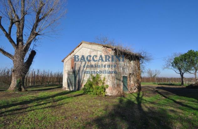 CASA INDIPENDENTE CON SERVIZI - FAENZA VIA MEDICA 3 - Foto 12