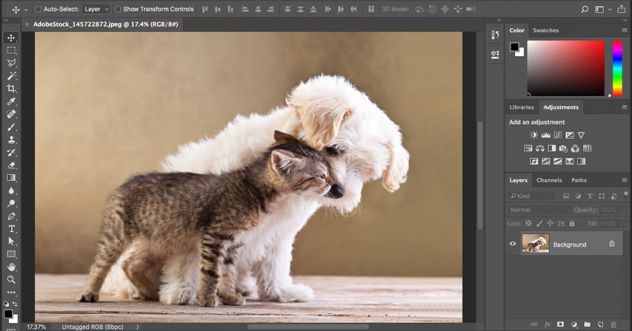Lezioni di Photoshop da zero: per tutti i livelli