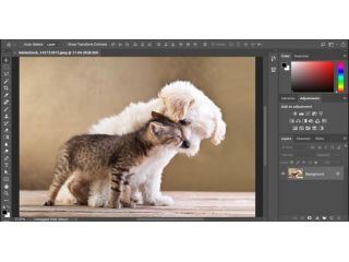 Lezioni di Photoshop da zero: per tutti i livelli