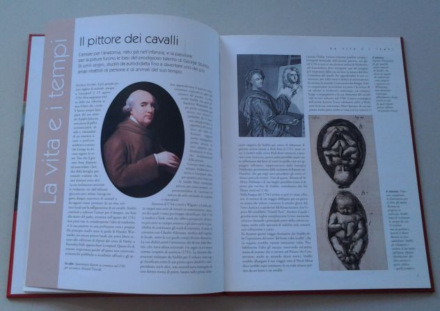 George Stubbs - Foto 2