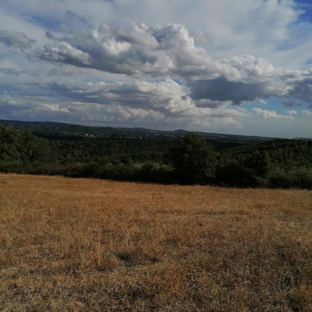 Nella Frazione dell'Elmo nel comune di Sorano, dove sono presenti i servizi di prima necessità, a 10 km da Sorano e relative terme, 11 km da Pitiglian - Foto 5