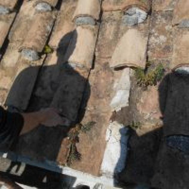 Grimaldi Costruzioni di Grimaldi Marco