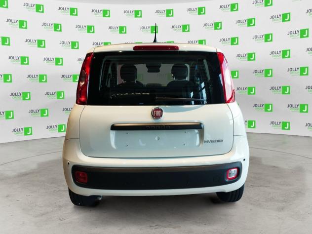 FIAT Pandina 1.0 FireFly 65cv S&S 6m Hybrid Icon vettura a noleggio on vendibile per info simona magnante - Foto 6