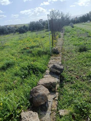 Terreno in vendita a Lentini - Foto 6