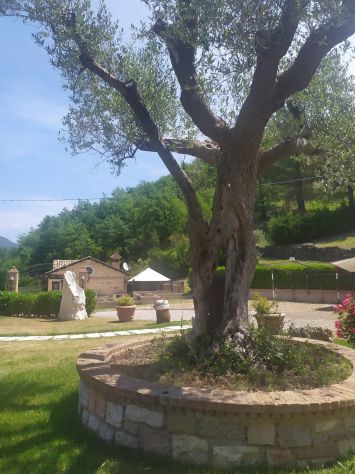 In un bellissimo contesto naturalistico si affittano appartamenti con piscina - Foto 4
