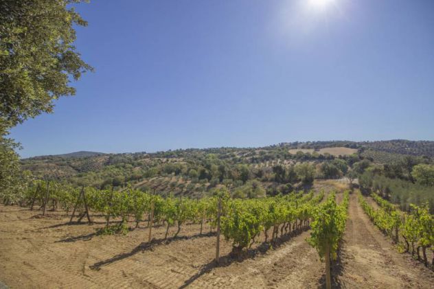 TOSCANA ..... Ovunque in Toscana - Foto 9