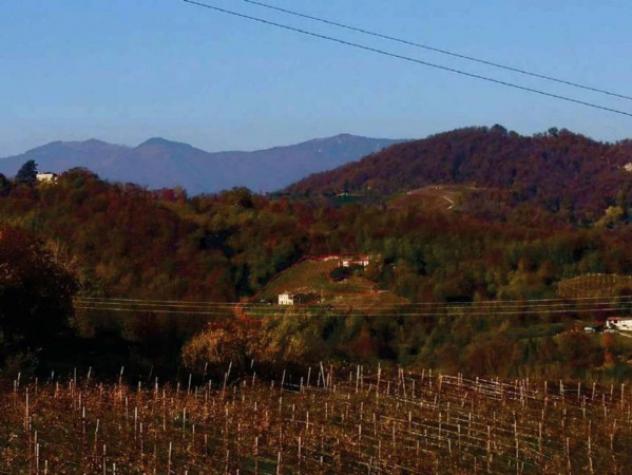 Immobile in asta di 83636 m² in vendita a Refrontolo - Foto 7