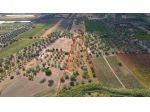 Terreno Agricolo - Noto . Rif.: Cod. rif 3321426VRG