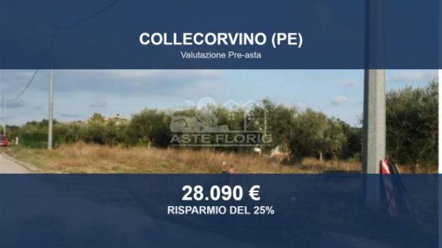 Immobile in asta di 1135 m² in vendita a Collecorvino