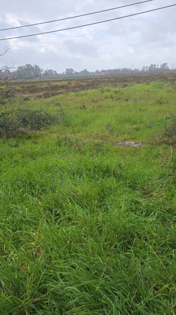 affittasi terreno a Borgo Isonzo- Latina- Affarissimo - Foto 6