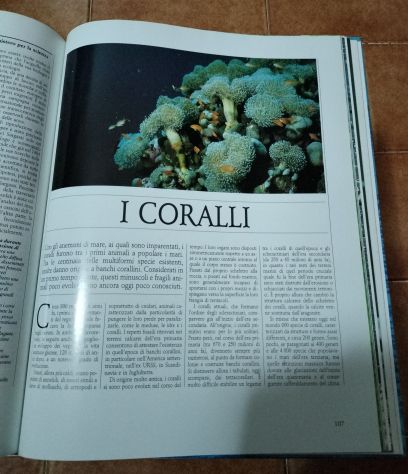 Mari e oceani Gli animali e il loro ambiente - Foto 4