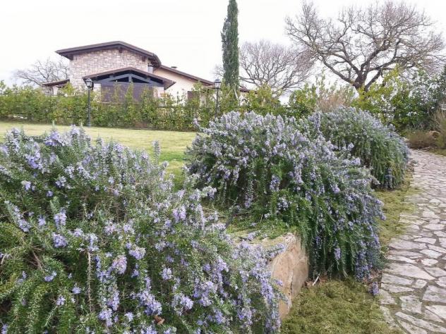 Bellissima Villa in Stile Toscano, Finemente Arredata - Foto 9