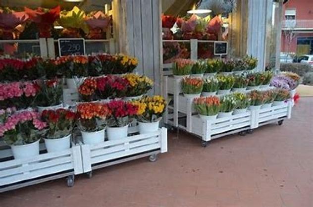 Borgo San Lorenzo NEGOZIO FIORI