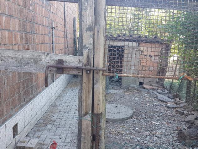 Immobile di 160 m² in vendita a Carpi - Foto 14