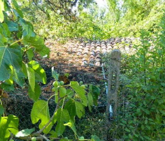 Immobile in asta di 15 m² con più di 5 locali in vendita a Piegaro - Foto 3