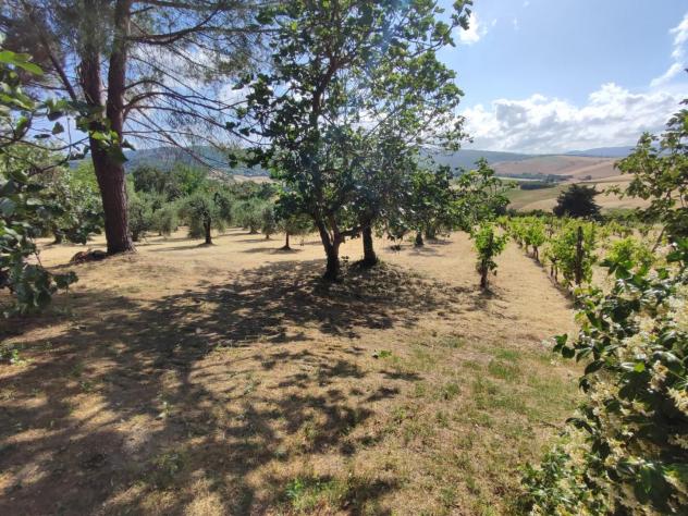 Villetta bifamiliare in vendita a Lajatico 150 mq Rif: 1132616 - Foto 5