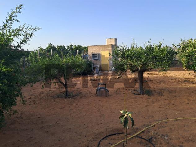 Villa o villino in vendita a Ragusa, Punta Braccetto - Foto 3
