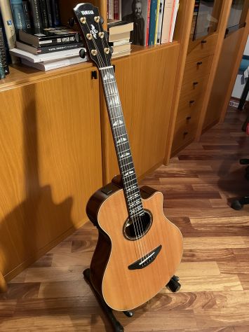 CHITARRA ACUSTICA APX 1200 II - Foto 3