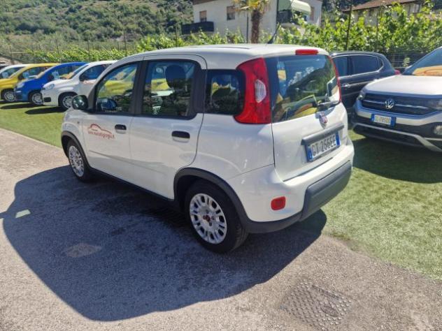 FIAT Panda 1.0 FireFly S&S Hybrid rif. 23698759 - Foto 3
