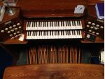 Organista Torino