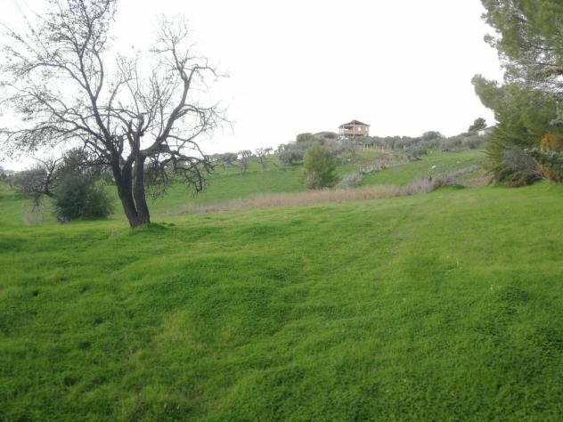 Agricolo in vendita a Caltanissetta - Foto 2